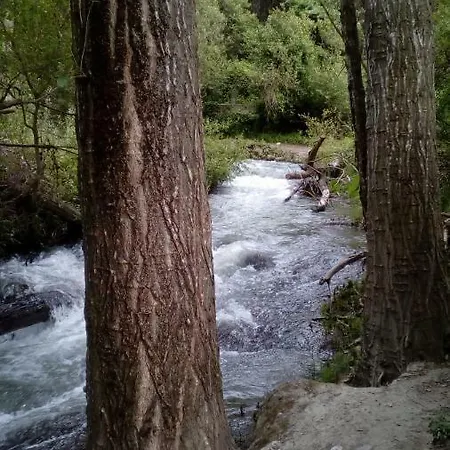 Terrazas De