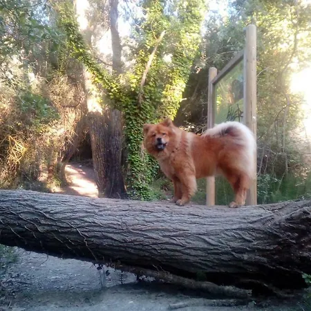 Apartment Terrazas De *